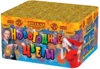 Новогодние цветы Фейерверк купить в Сольвычегодске | solvychegodsk.salutsklad.ru