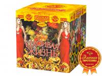 Красивая жизнь Фейерверк купить в Сольвычегодске | solvychegodsk.salutsklad.ru