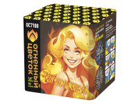 С огоньком! Фейерверк купить в Сольвычегодске | solvychegodsk.salutsklad.ru