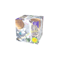 Новогодняя ночь Салют купить в Сольвычегодске | solvychegodsk.salutsklad.ru