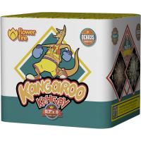 Кенгуру Батарея салютов купить в Сольвычегодске | solvychegodsk.salutsklad.ru