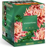 Хризантемы Фейерверк купить в Сольвычегодске | solvychegodsk.salutsklad.ru