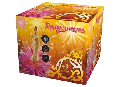 Хризантема Салют купить в Сольвычегодске | solvychegodsk.salutsklad.ru