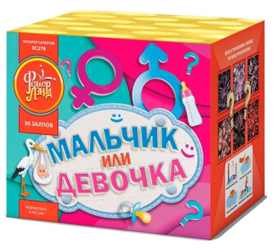 Мальчик или девочка М Фейерверк купить в Сольвычегодске | solvychegodsk.salutsklad.ru